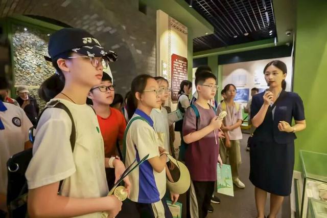 深圳人深情表白：“因为一条路，爱上一座城！”