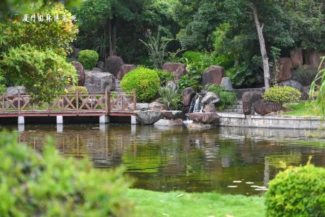 水帘飞泻、喷泉奏乐！厦门清凉“水上秘境”，周末走起→