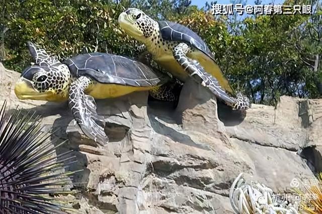 大连海之韵山体壁雕
