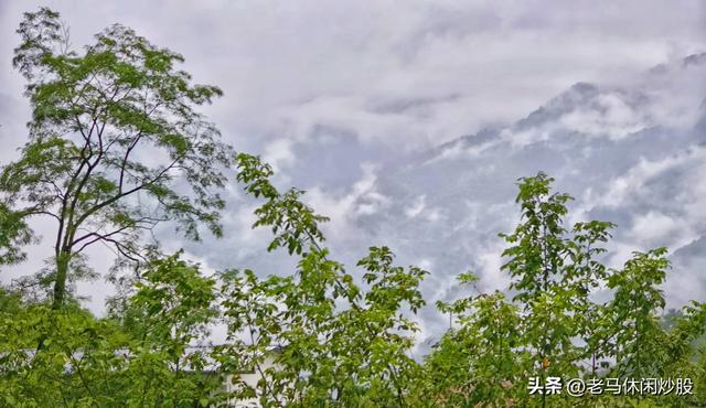 耿达——云如花飘,雾似露润
