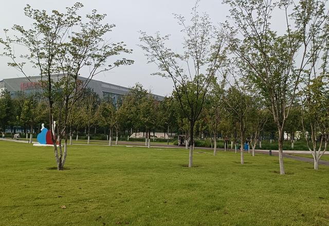 唐山市人民公园秋季美国枫叶红了，未来人民公园还会向西扩容吗