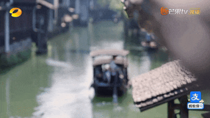 15年后，东栅，你变了吗？