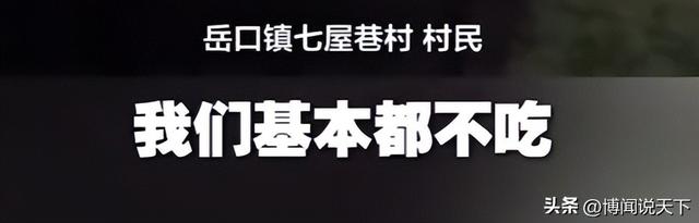 央视曝光毒红薯！商户主动投毒	，流窜至全国多地，背后利益链曝光
