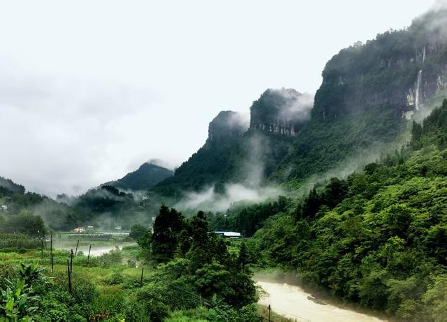 “暴美鹤峰人”