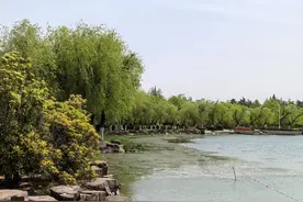 为什么女人出轨，结果一般会很惨图片