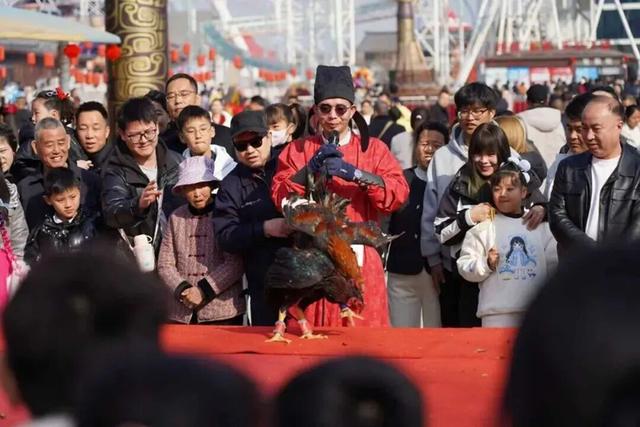 瑞马奔腾中国年 黄河岸边过大年 2026 渭南春节文旅活动绘就丰年盛景