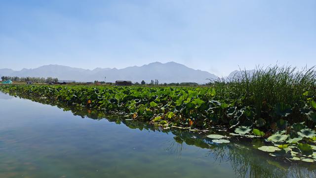 山西深度游—浑源古城