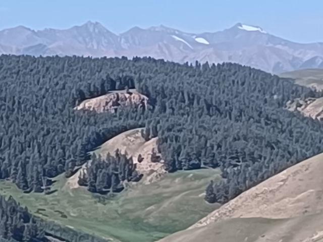 由踏甘肃地之二十九 张掖篇之二十七 康乐草原