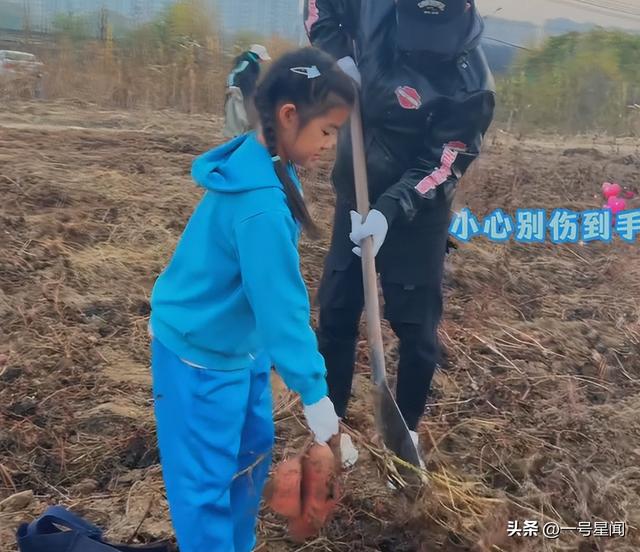 里子面子都丢了！森林北自曝体检结果，撕下了汪峰仅剩的"体面"