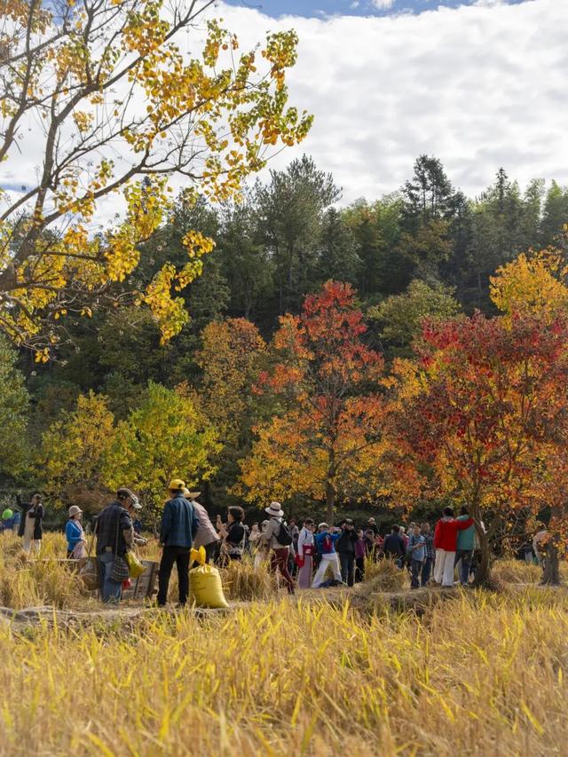 红叶如火，塔川正浓 | 皖美冬日 | 第十五届安徽国际文化旅游节