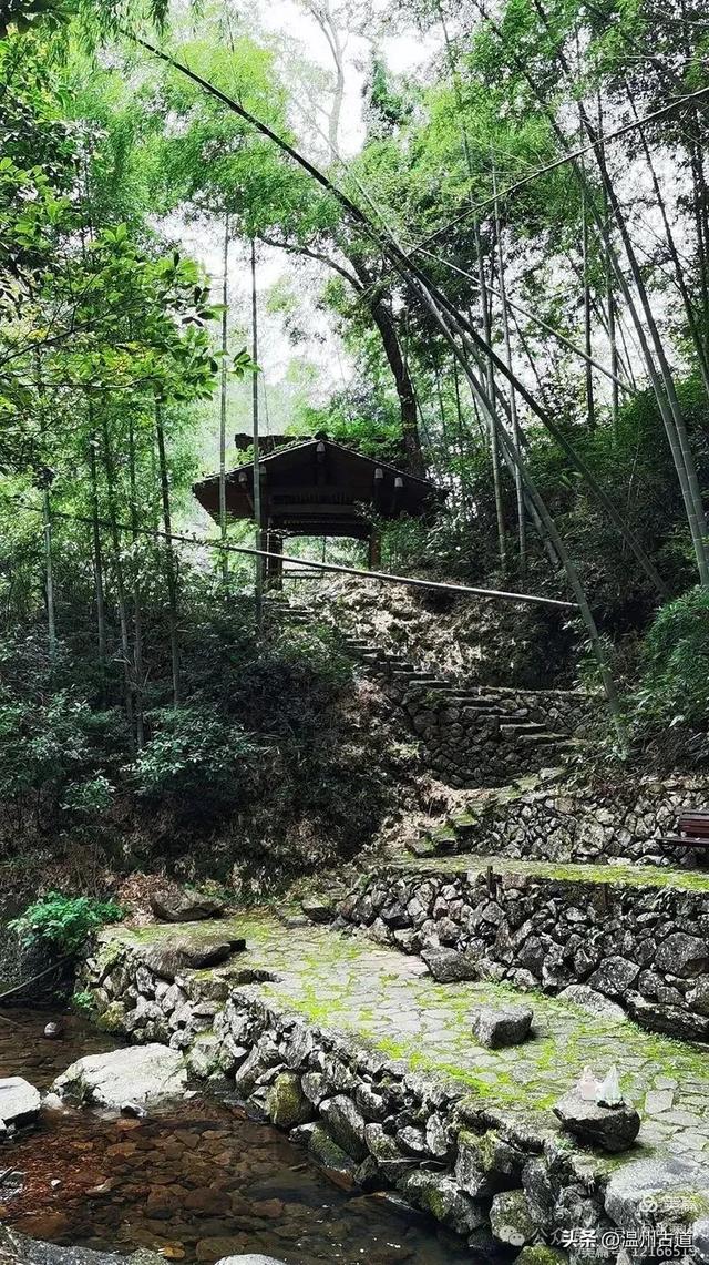被两条绝美瀑布包围的世外桃源!温州真正的原始秘境