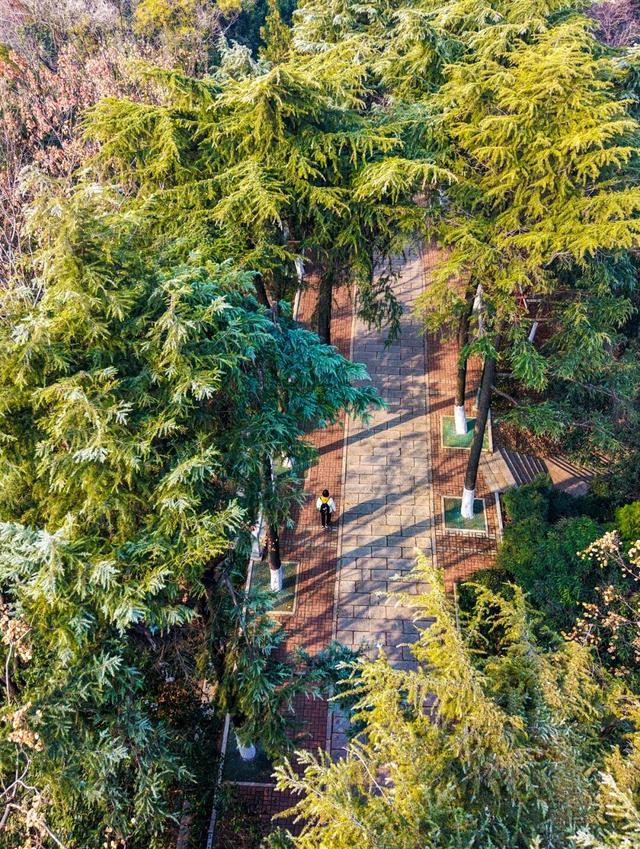 武汉冬日三大秘境徒步路线曝光：知音殿重启，红嘴鸥“打卡”东湖