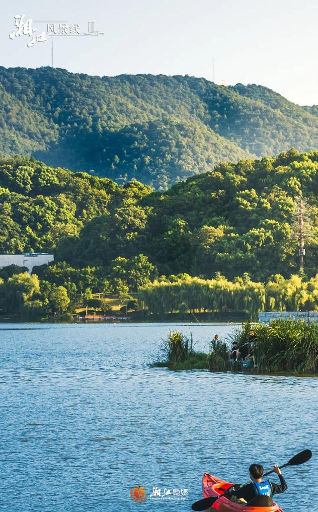 这样的桐梓坡，你一定没见过！