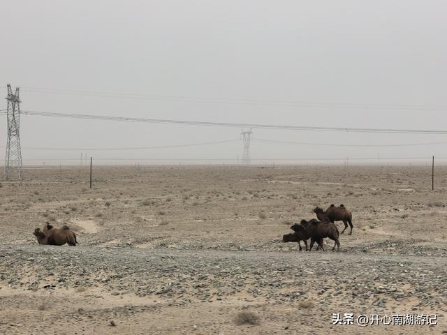 喀什经317到成都，和田-于田-民丰，先绕行和田翡翠湖