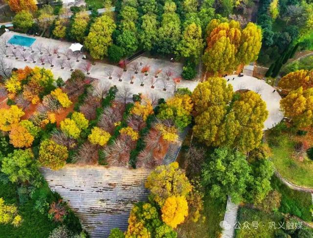 五彩斑斓！巩义市区这个宝藏打卡地迎来颜值巅峰→