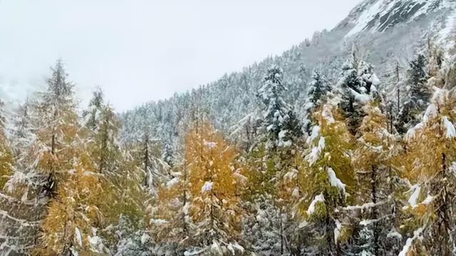 秋假追雪毕棚沟，没想到被安德服务区圈粉了！