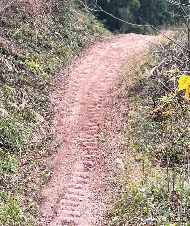 成都龙泉山爆红徒步路线，享受超级梭梭板，大人小孩都喜欢！