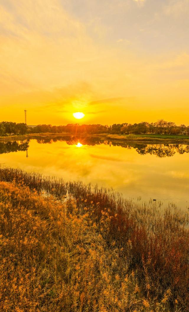 晚霞映照下的宁阳洸河湿地公园