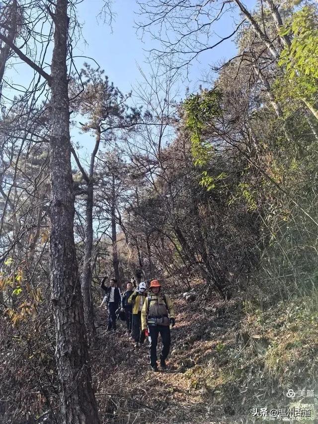 邂逅2026年的第一场醉美雾凇!温州四海山的雾凇美爆了!