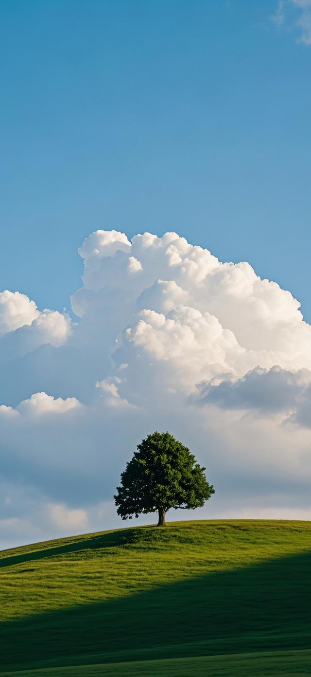 手机壁纸|美如画的自然风景