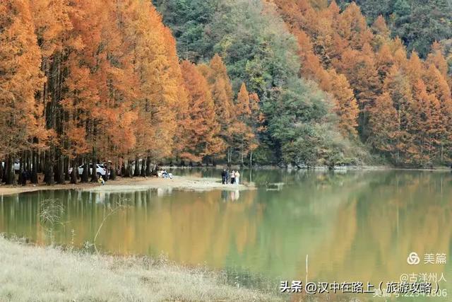 龙池秋色惹人醉