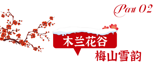 大寒至，雪满黄陂梅正香！