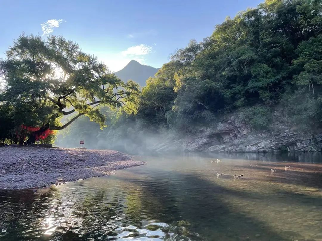 广西鹿寨县历史沿革及行政区划