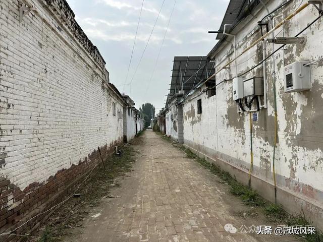 冠县乡韵·桑阿镇野场村