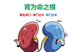 年纪轻头晕耳鸣，体力跟不上？烦热梦还多？关键竟是虚火在作祟！图片