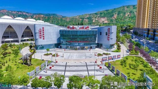 遇见•临夏丨金秋看展 与临夏文博来一场跨越时空的“对视”
