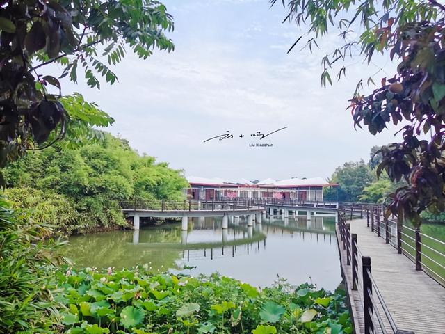“最不像河南”的河南城市：不南不北的尴尬地，总被错认成湖北？