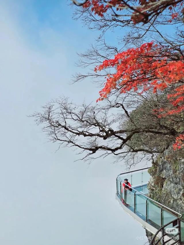 汉中人的私藏赏秋地，一键解锁「无痛爬山+油画森林+云端限定浪漫」的三重体验！