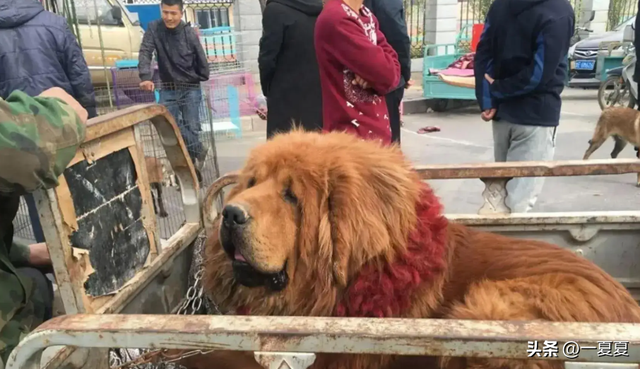 曾风靡全国的“骗局”，却被捧上神坛炒到千万！如今白菜价没人要