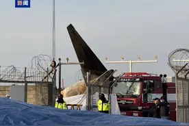 黑匣子已找到！韩国幸存空乘醒了，但失去相关记忆。客机燃烧殆尽只剩机尾，更多细节披露，专家分析图片