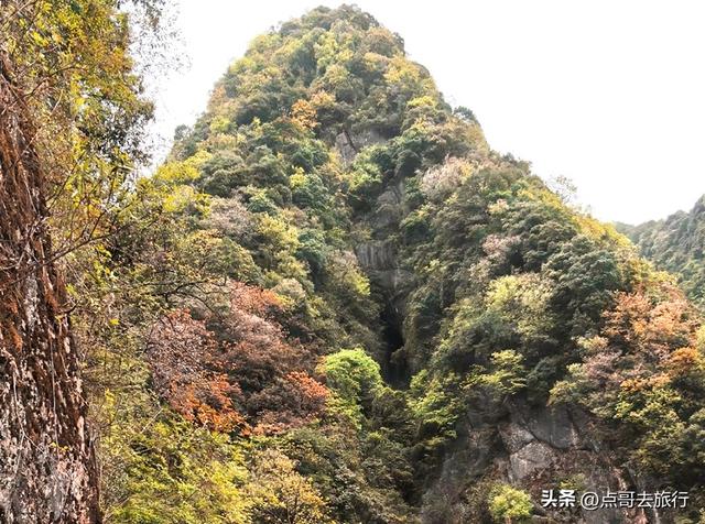 成都大邑爆火彩林，小牛背山、小喀纳斯这里都有，超级惊艳！