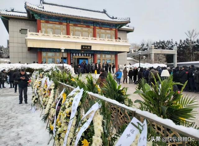 聂卫平离世细节曝光！昏迷12天奇迹未现，小女儿守到最后发文！