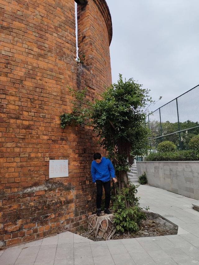 南宁新晋网红打卡地--新阳·石化里