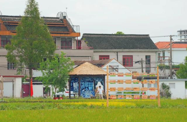 上海这10个村彻底火了！周末挤爆了，有你的老家吗？