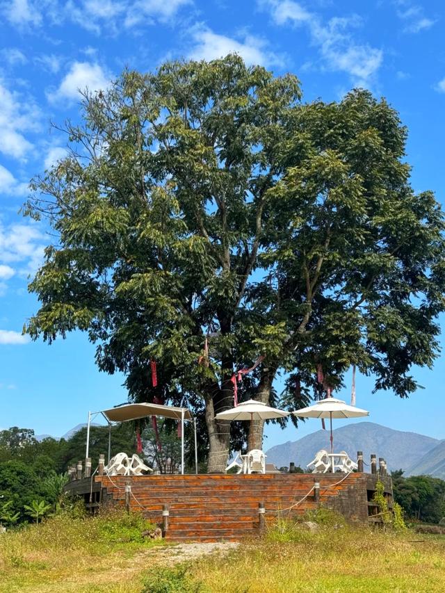 云南隐藏的暖冬密码：这8个神仙地，让北方人忘了回家！