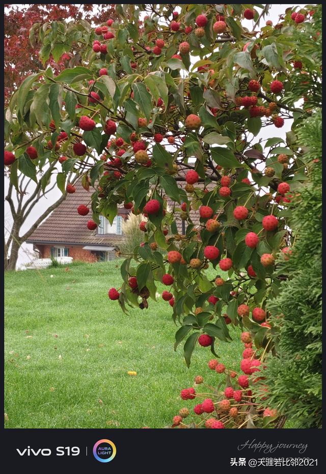 我所接触过的瑞士人