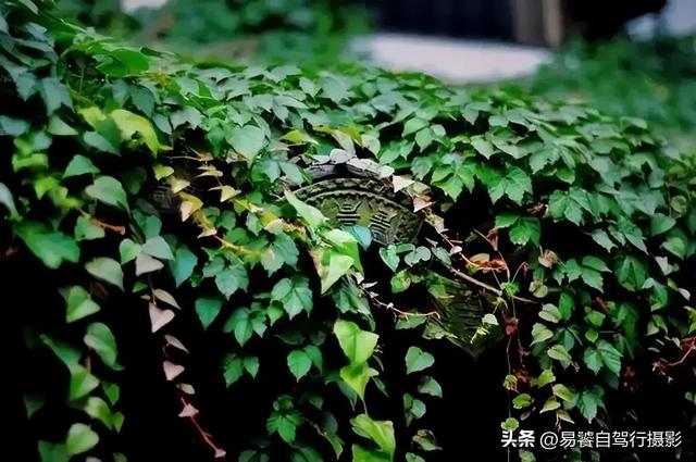 震撼！故宫瓦当，紫禁城守望者；中式美学老屋瓦当 只有中国人才懂