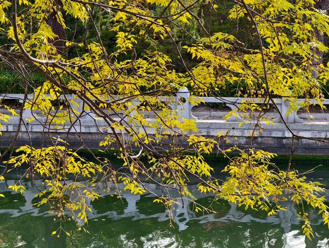 邂逅那一抹醉人的秋色