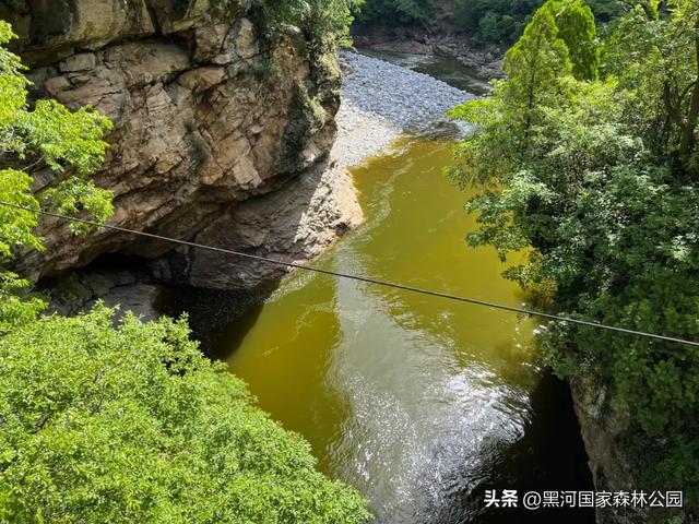 西安40℃+?别硬扛了!赶紧往黑河“跑”!