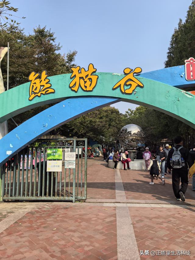 青岛动物园深度游指南：百年历史+五大展区，改造后更值得期待！