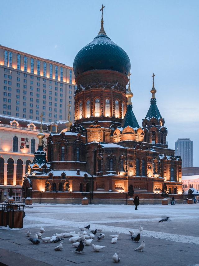 今年“尔滨”又要火？哈尔滨冬季旅游热度攀升！