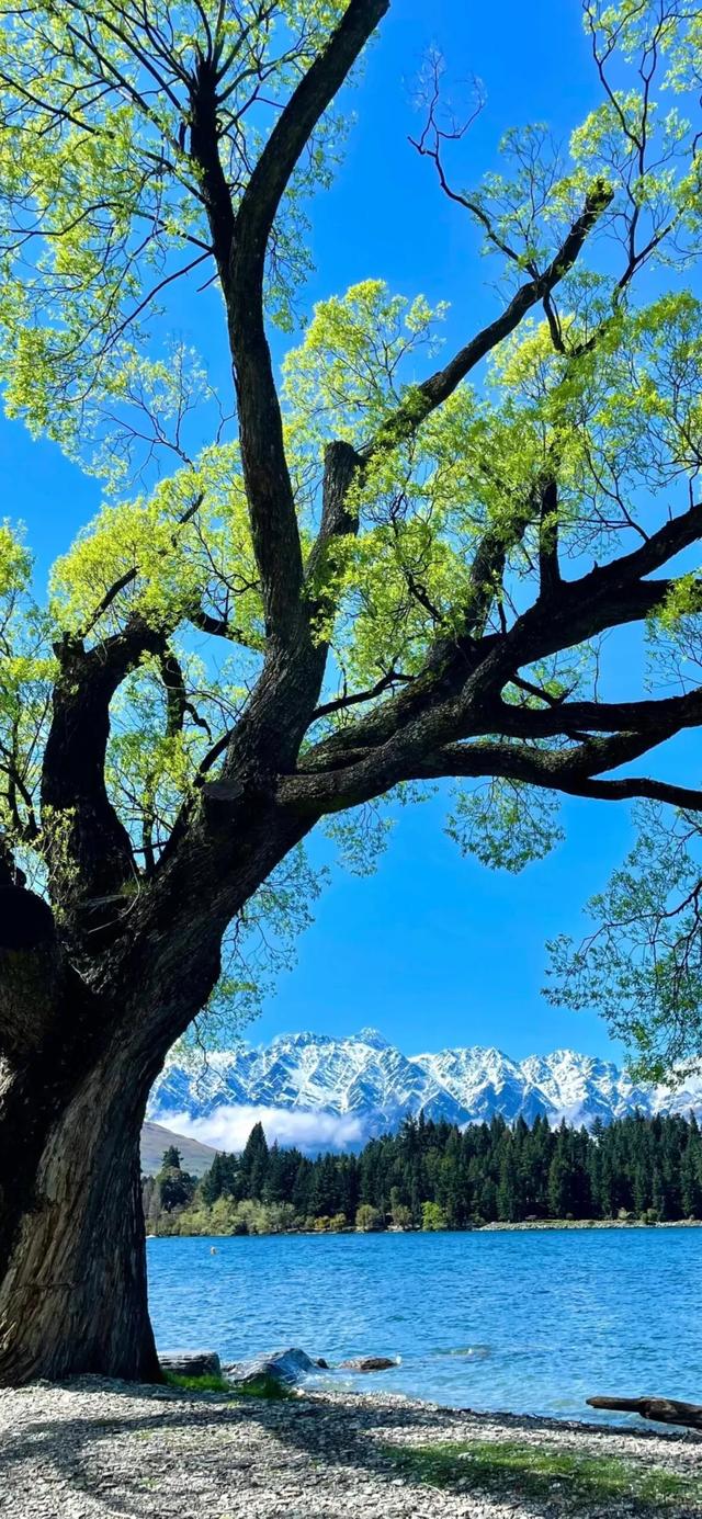 手机壁纸|自然美景，值得欣赏