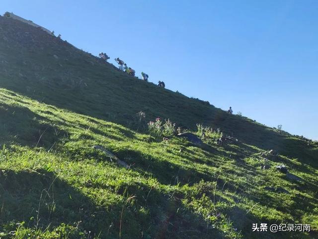 信阳：大别山干部成长的摇篮与自然人文的瑰宝