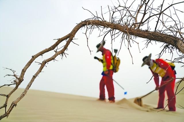 塔克拉玛干的日与夜