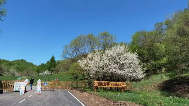 乘着高铁游白山 | 优享盛夏·清凉白山康养避暑游线路