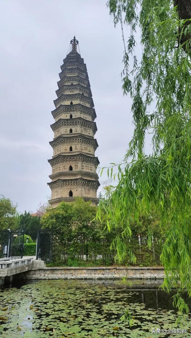 绿阳春拂柳蒙城 三千年文化朝圣